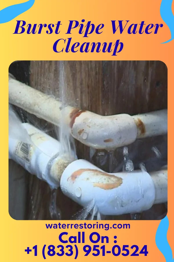 Burst Pipe Water Cleanup in Hinton, WV