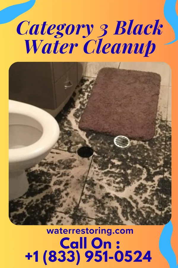 Category 3 Black Water Cleanup in Hinton, WV