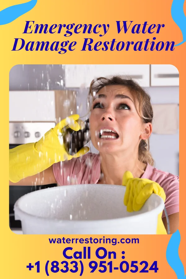Emergency Water Damage Restoration in Hinton, WV
