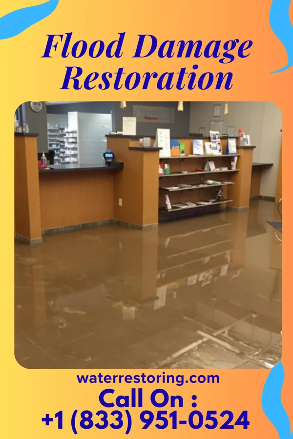 Flood Damage Restoration in Hinton, WV