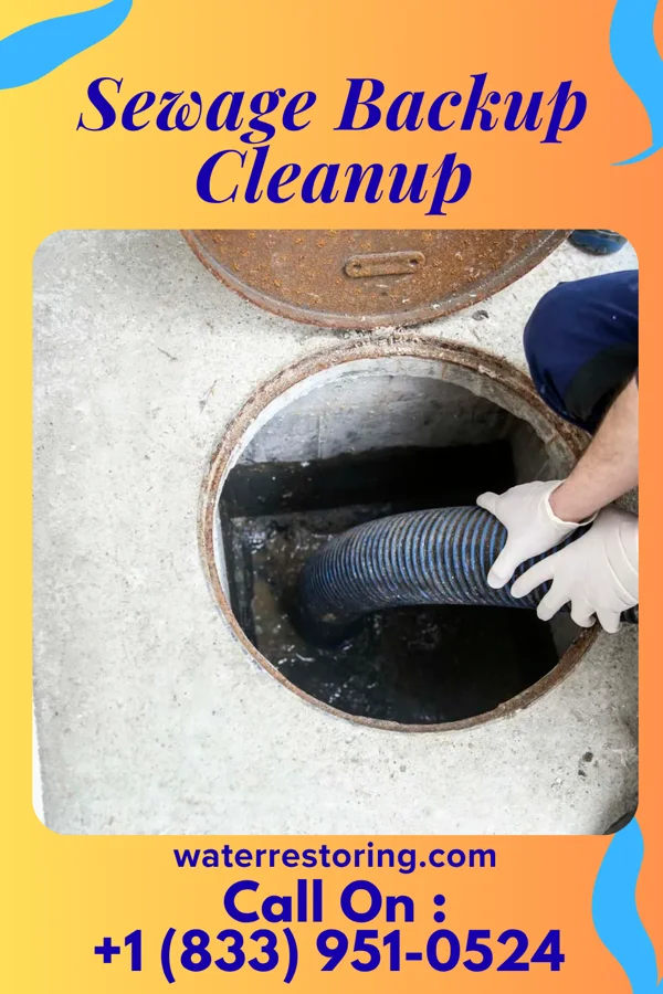 Sewage Backup Cleanup in Hinton, WV